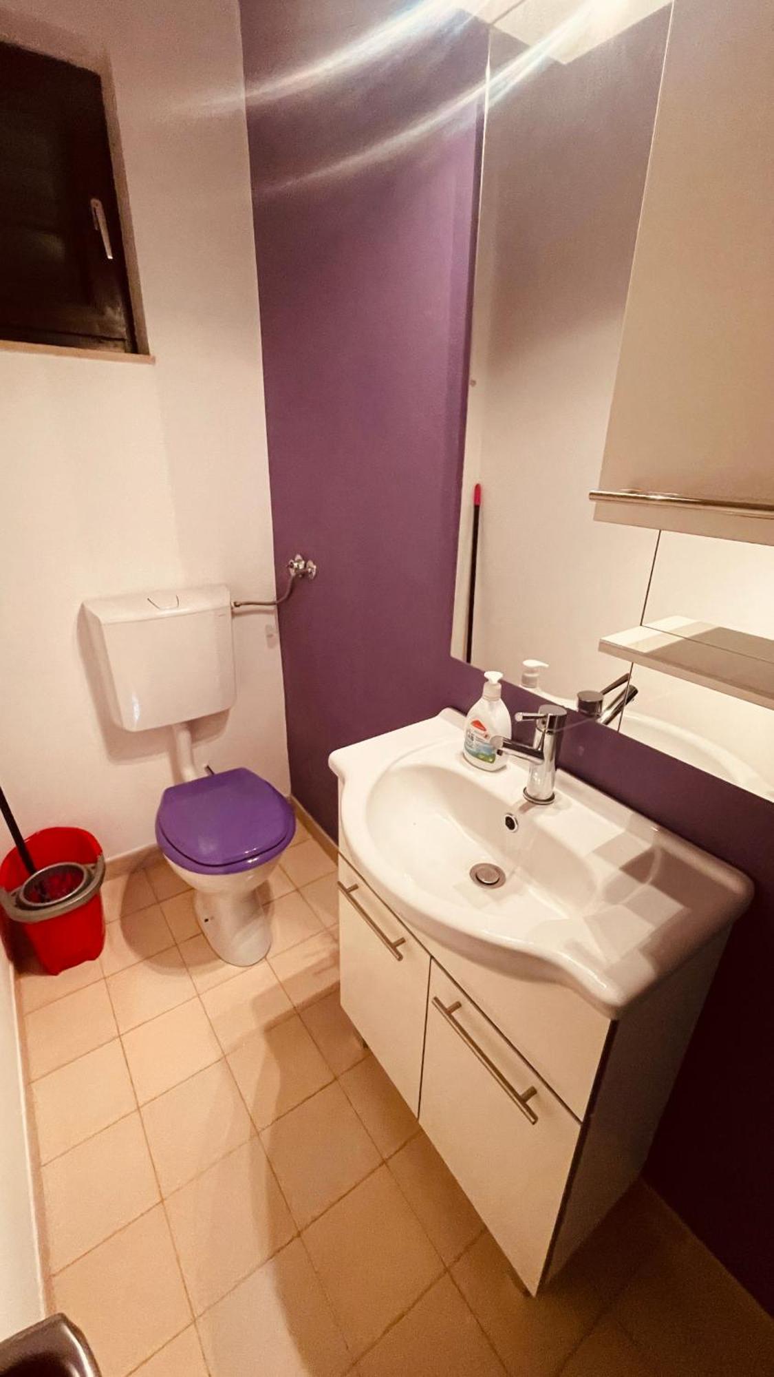 The Secret Orchid Apartment Rovinj Exterior photo